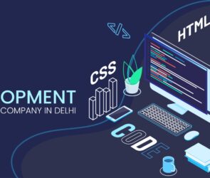 Web Development Company in Delhi