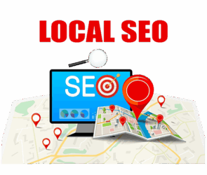 Local SEO Services in Delhi